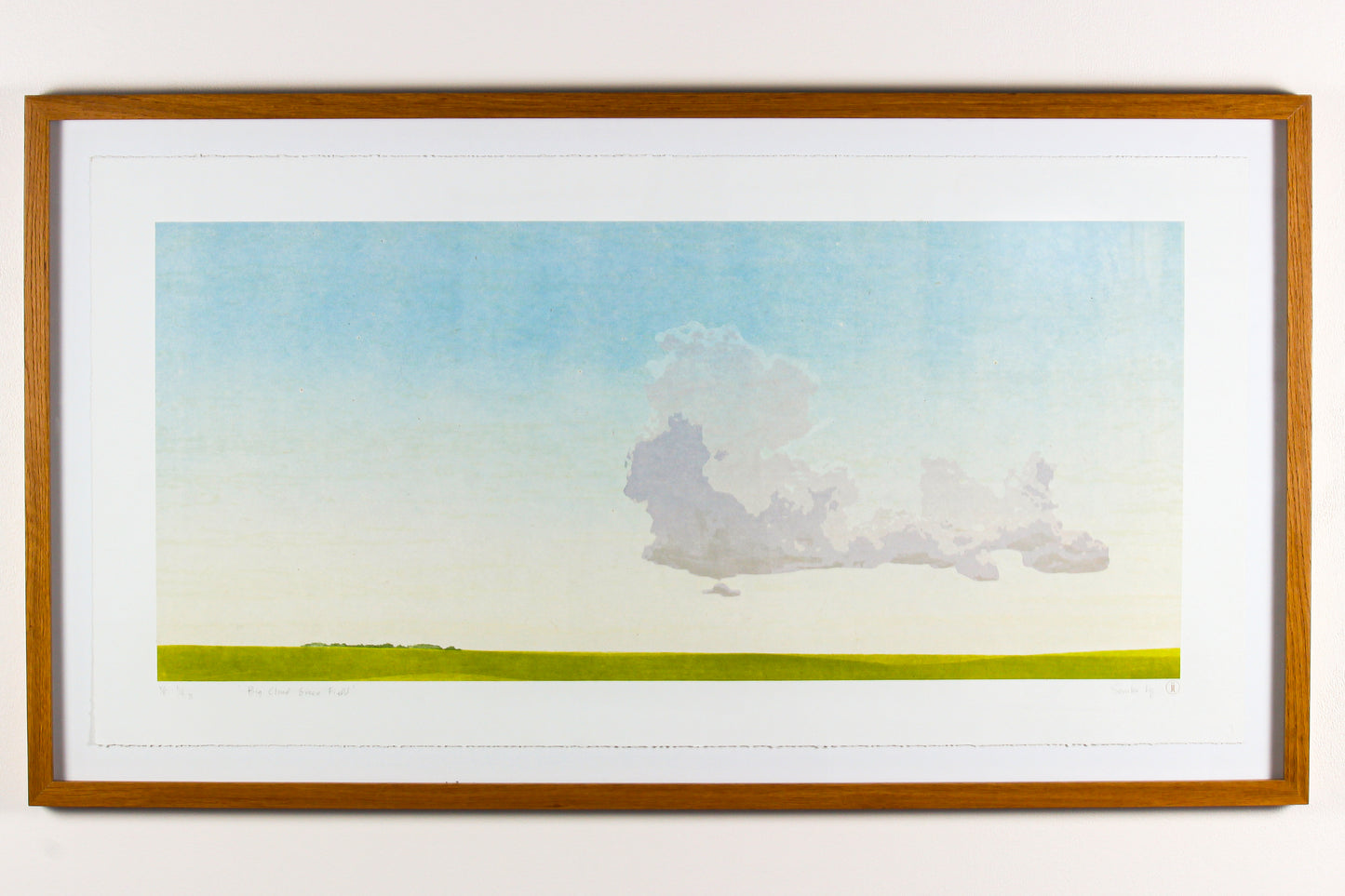 wood cut print of big cloud over a green prairie