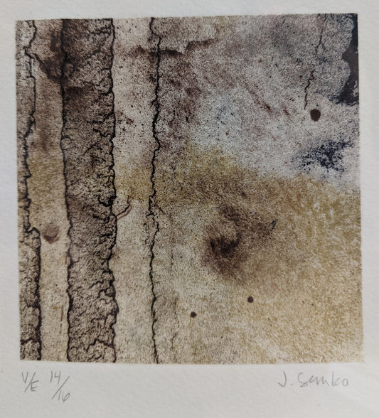 Neutural coloured print