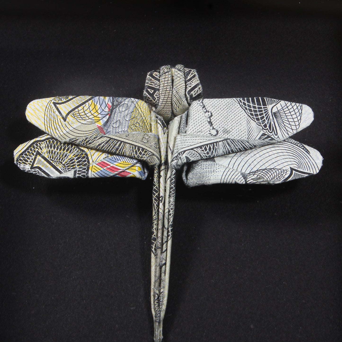 Dragonfly - Framed origami sculpture