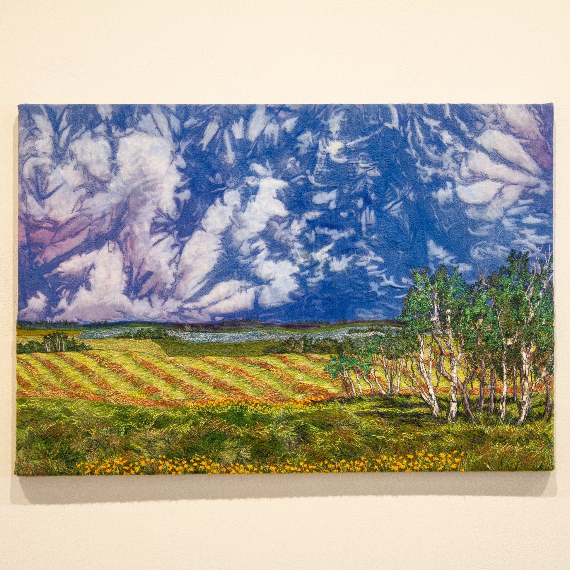 Scene of a dark sky over green prairie with forest