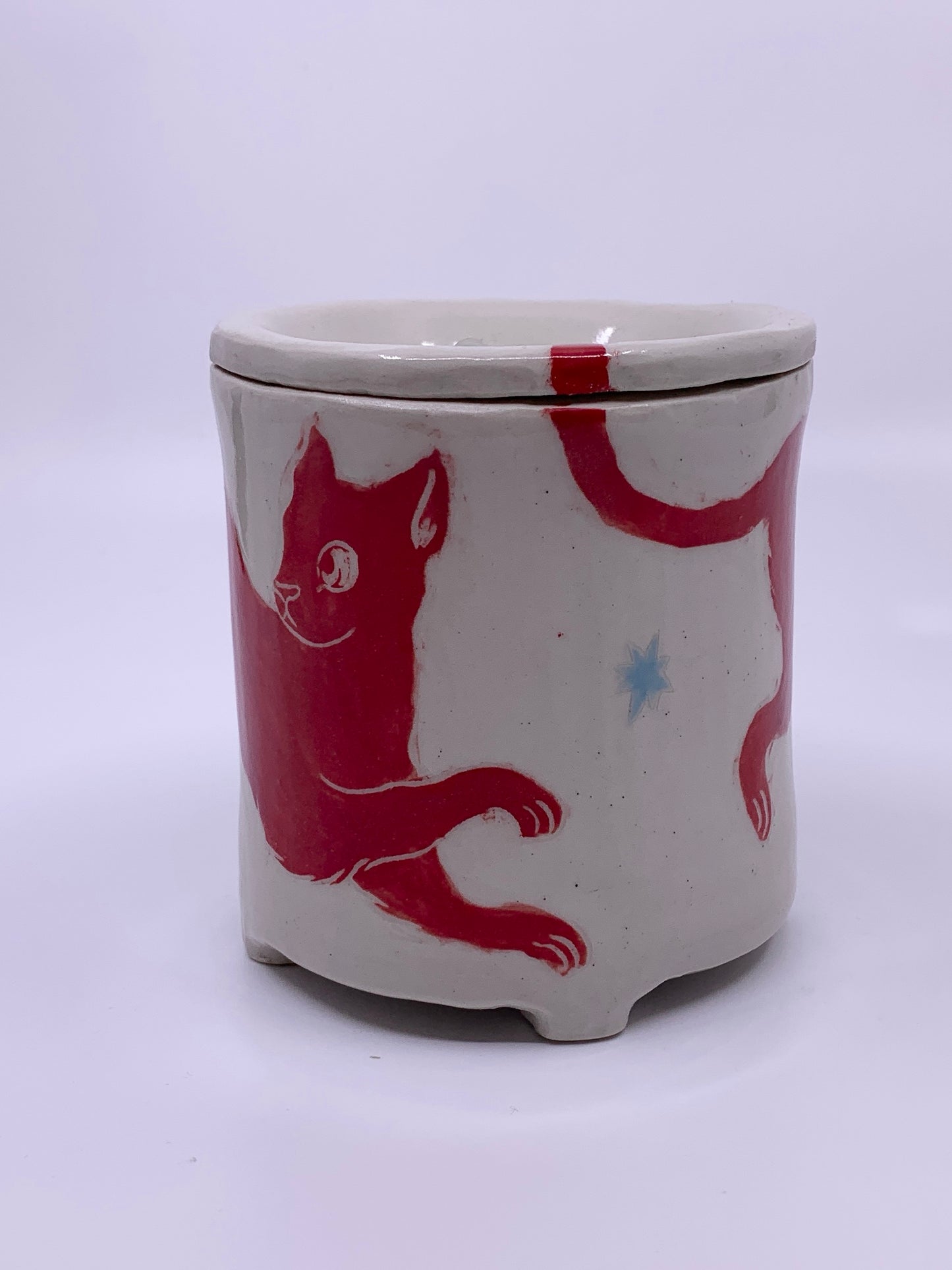 Red Cat Jar