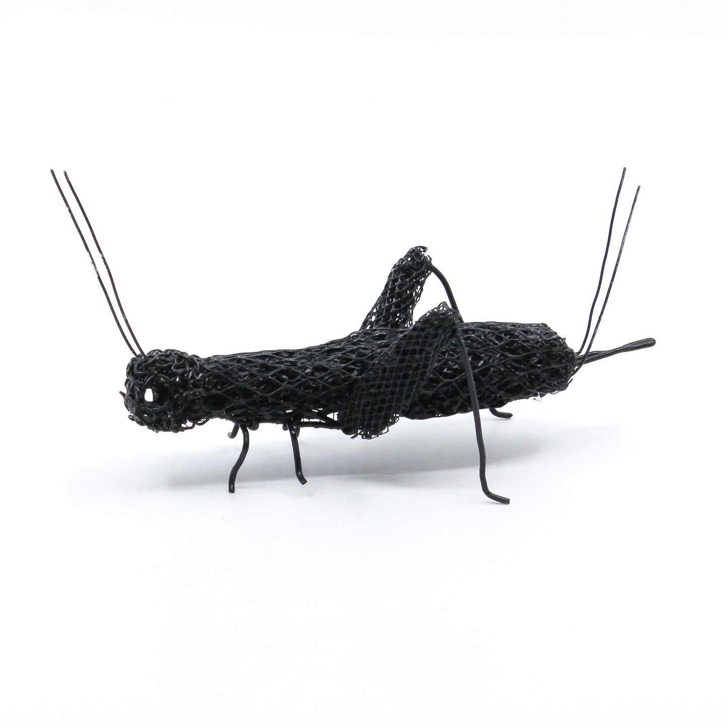 wire cricket