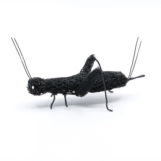 wire cricket