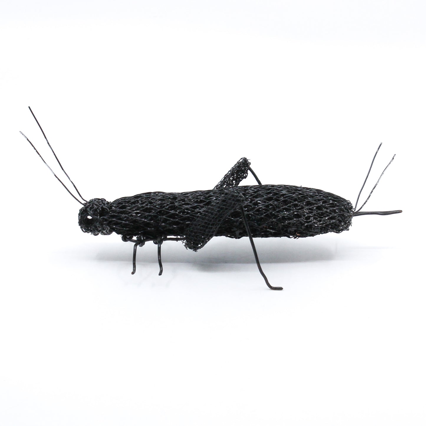 wire cricket