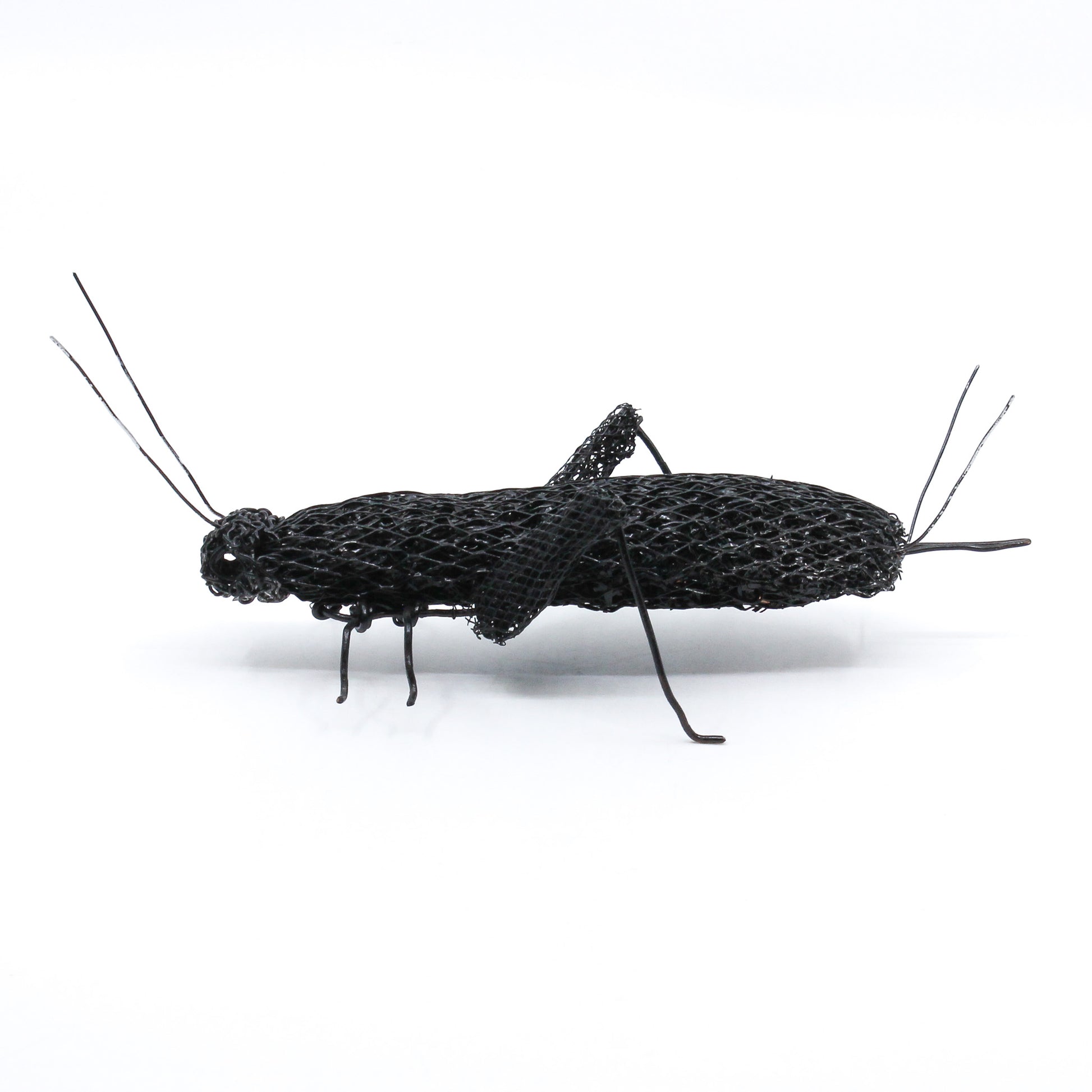 wire cricket