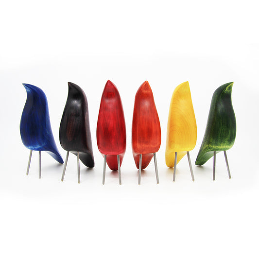 rainbow wood birds