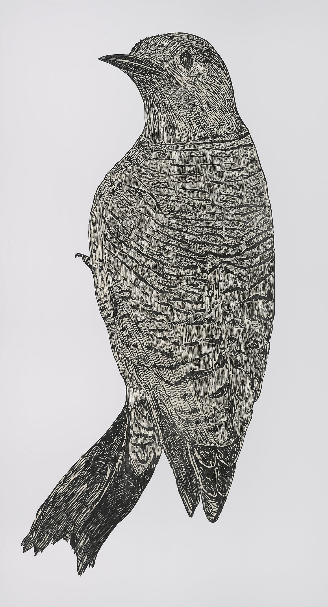 Flicker