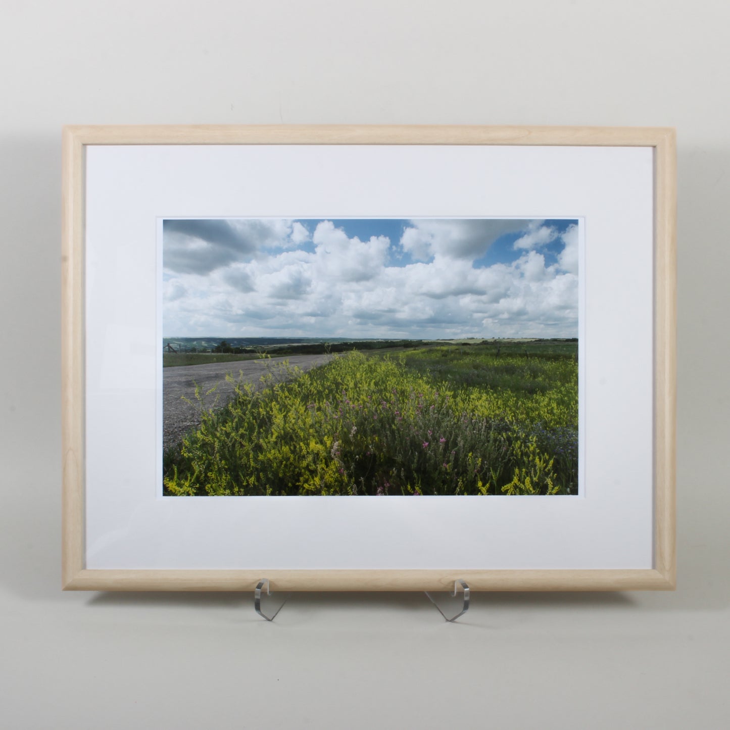 It Rained & Wild Flowers Bloom - Framed Photograph