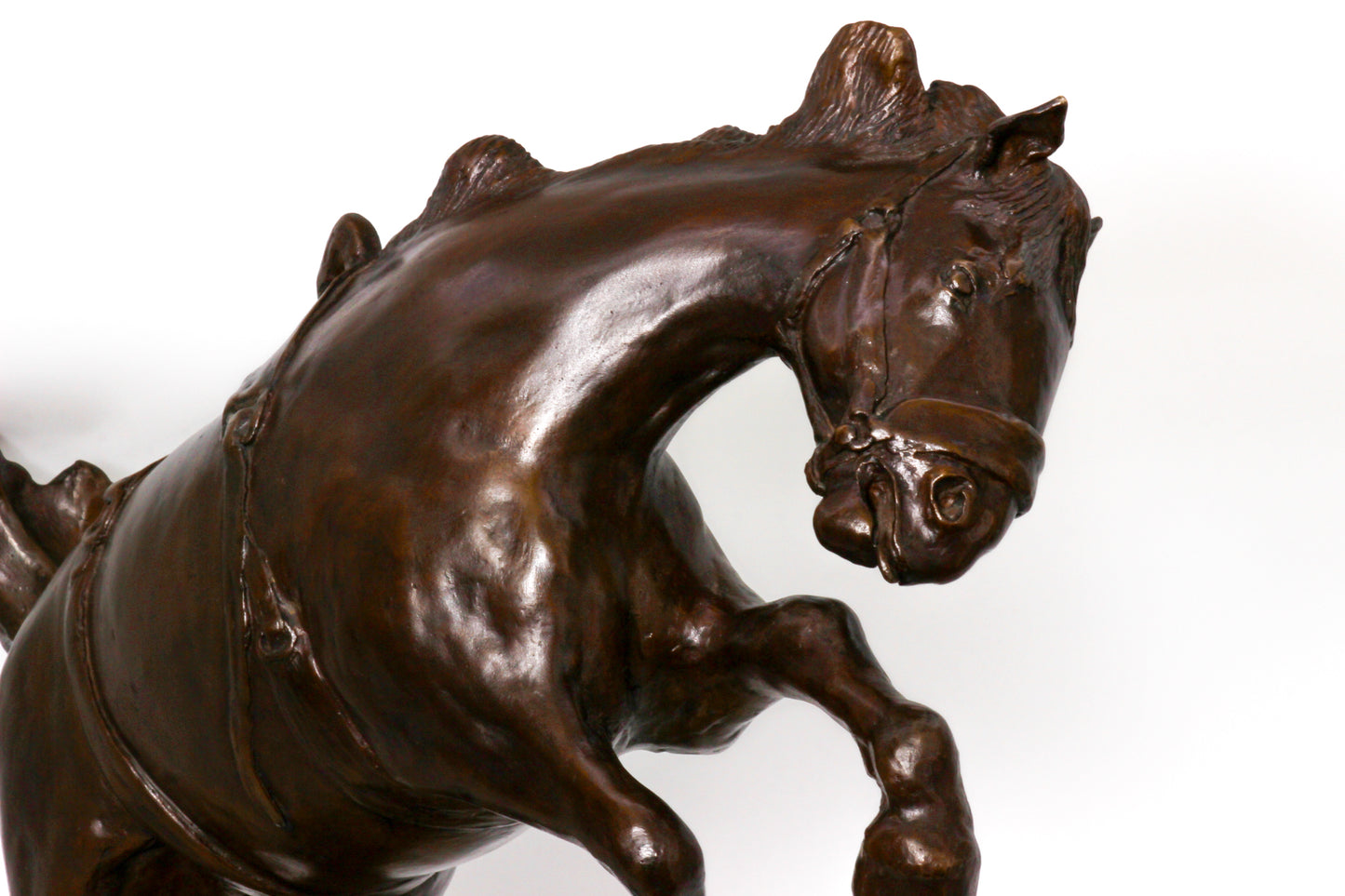 Bronze sculpture of a horse rearing on a white background