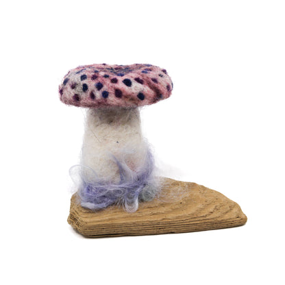 Pink mushroom on driftwood