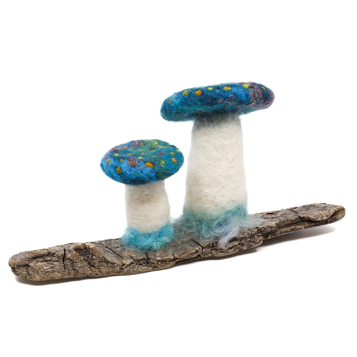 Teal mushrooms on driftwood