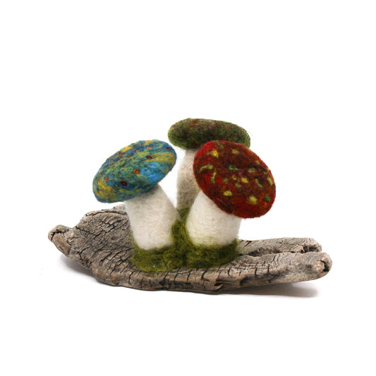 Blue, green, and red mushroom on driftwood