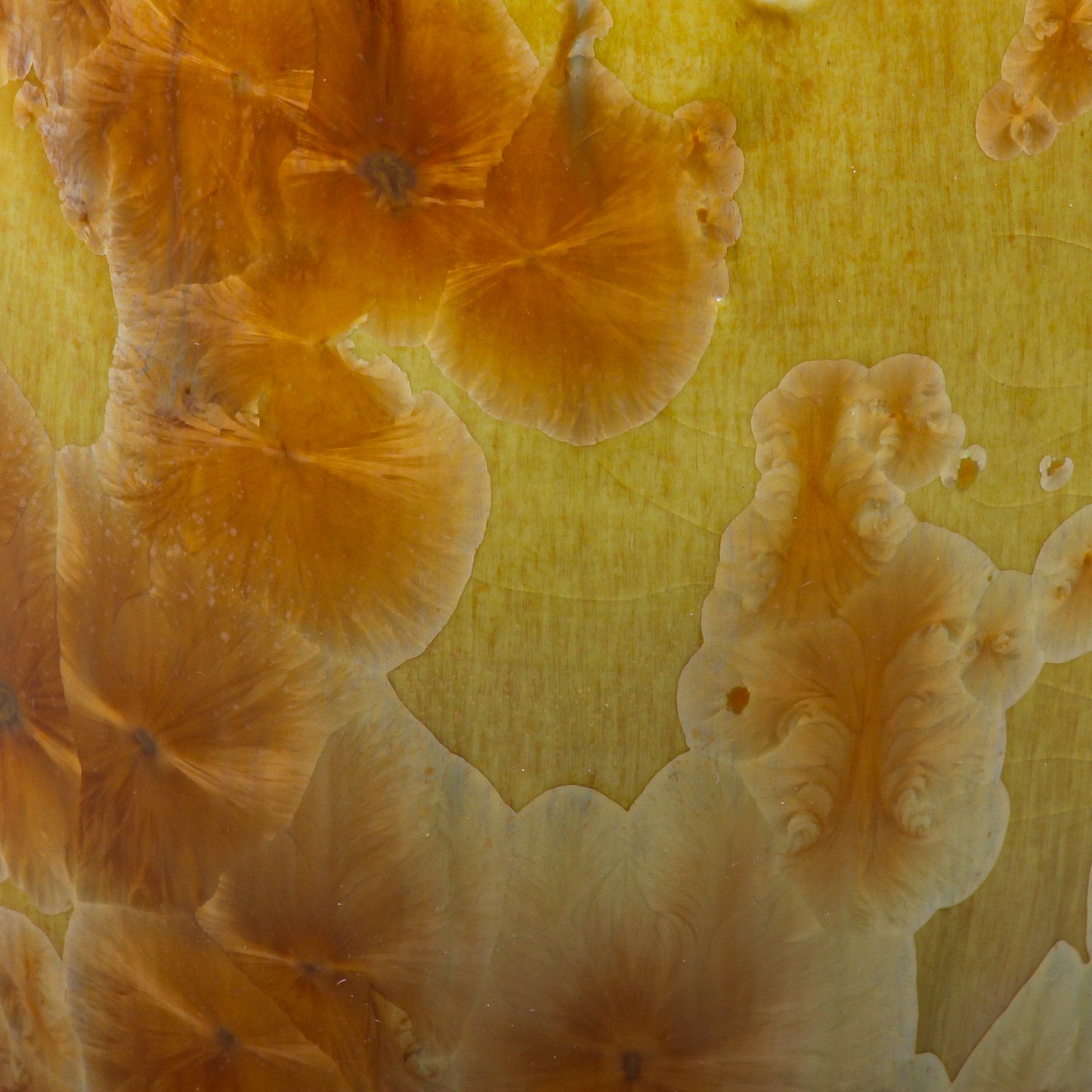 Wide Mouth Yellow Vase