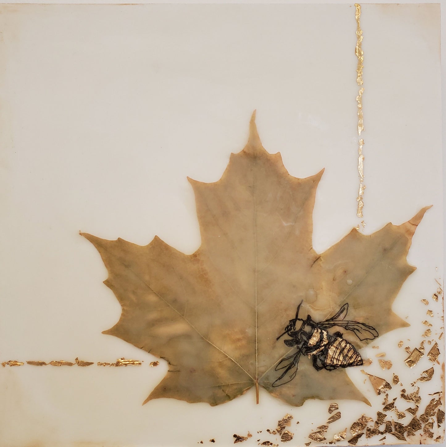 Canadian Bee - Encaustic collage
