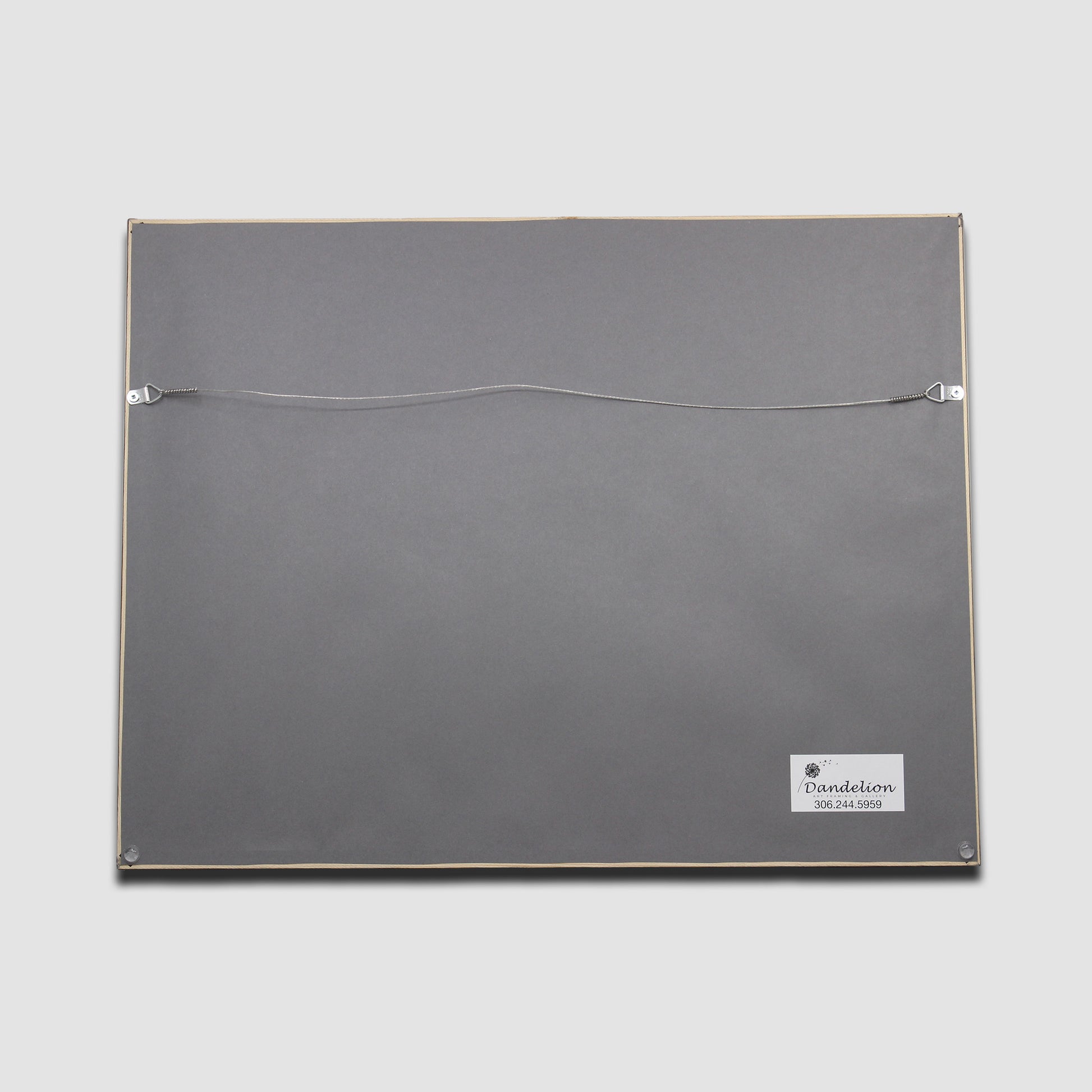 Back of Dark to Light