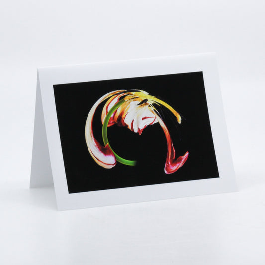Abstract photograph of a tulip