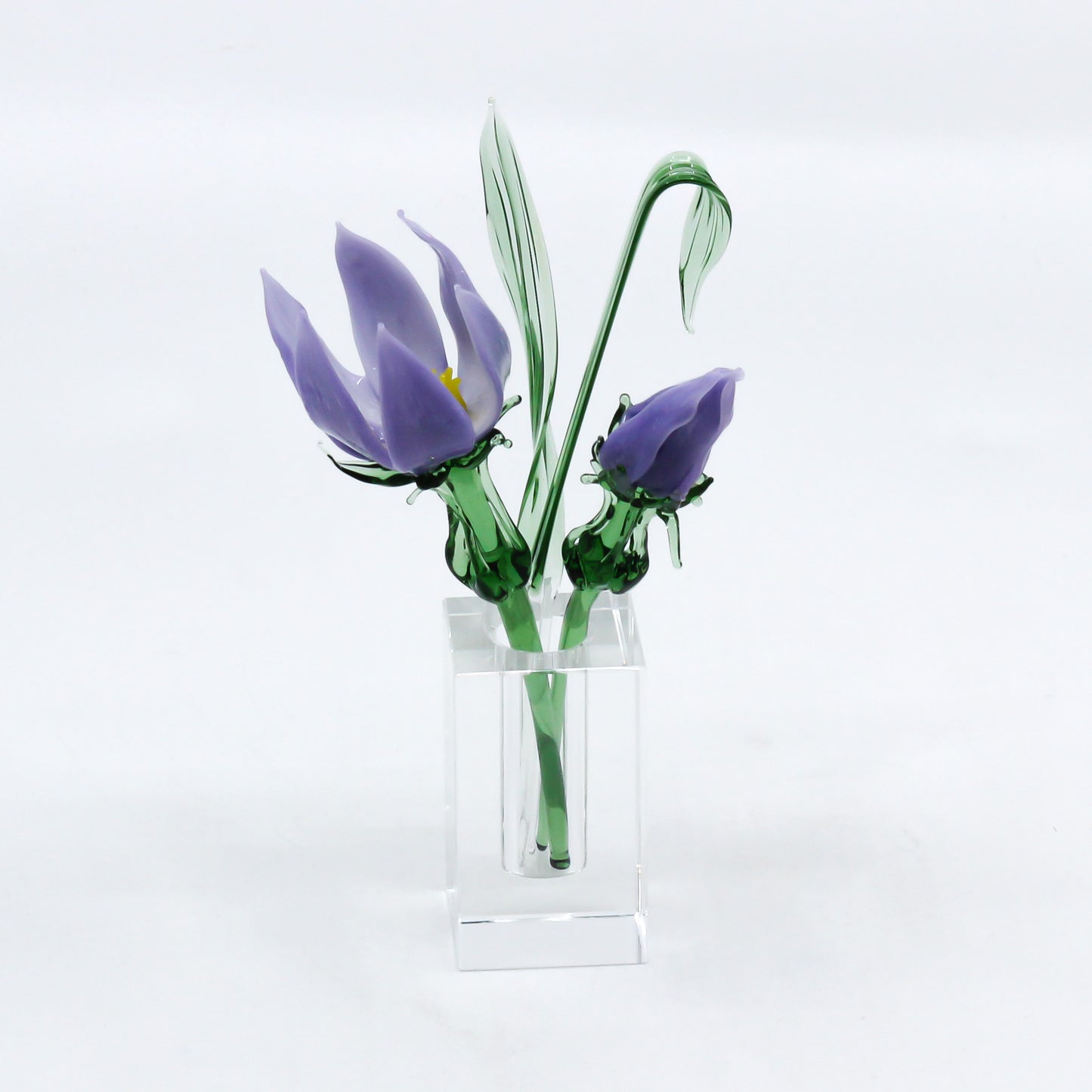glass crocus and bud in vase