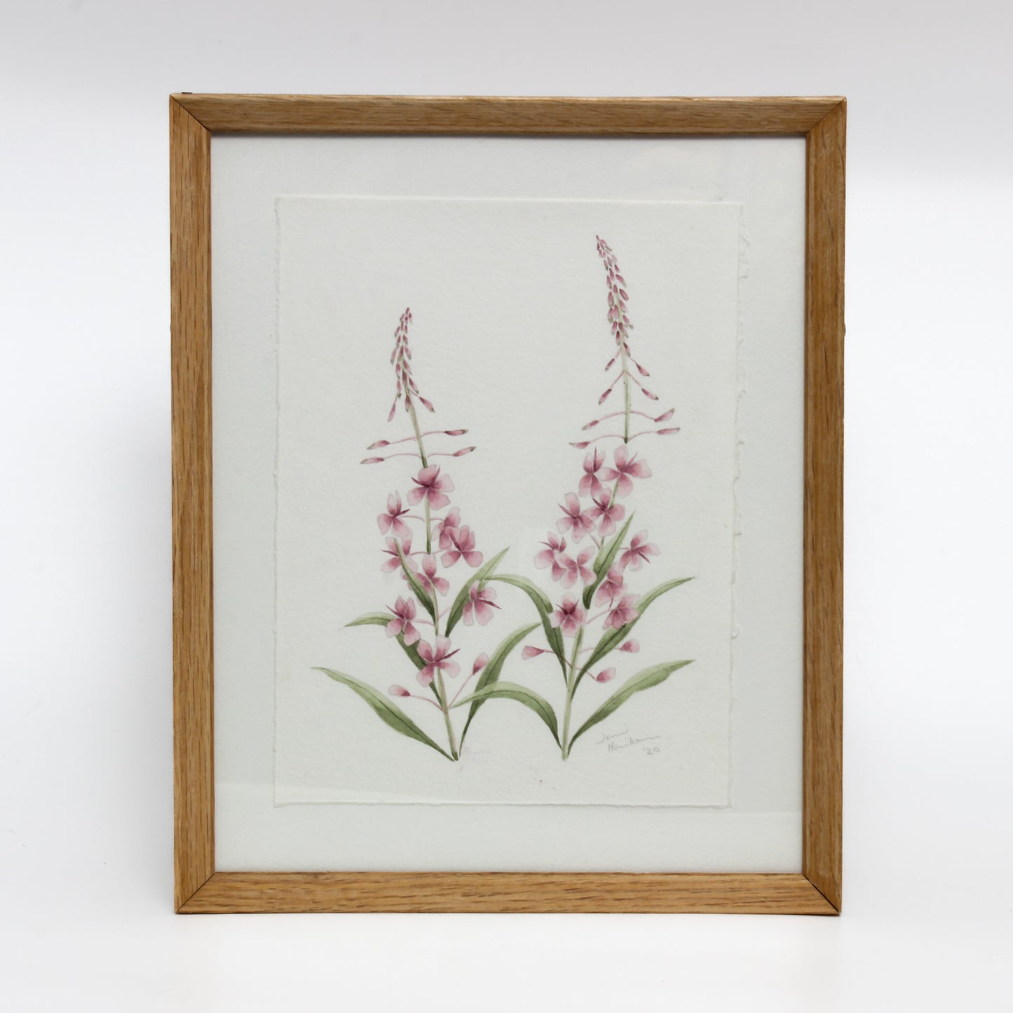 Framed watercolour of fireweed