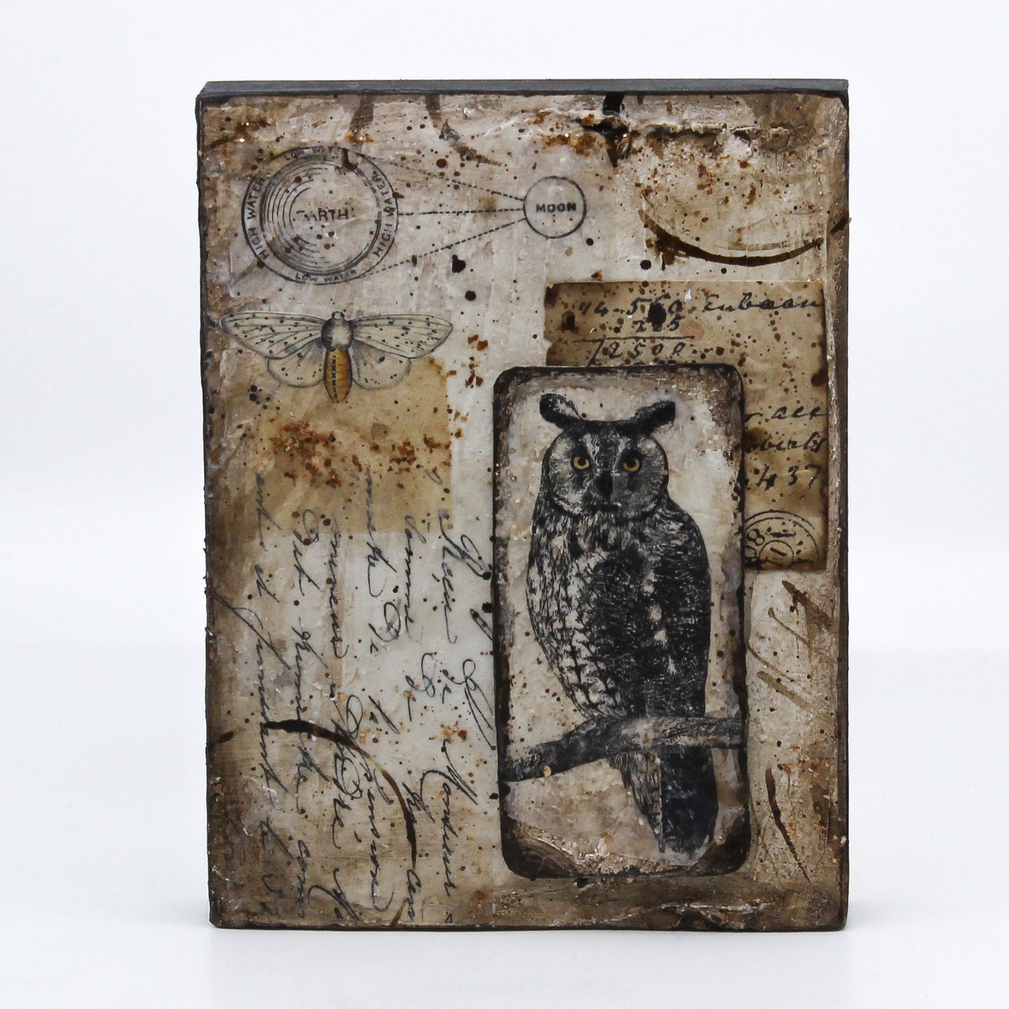 Art Board - Natural History