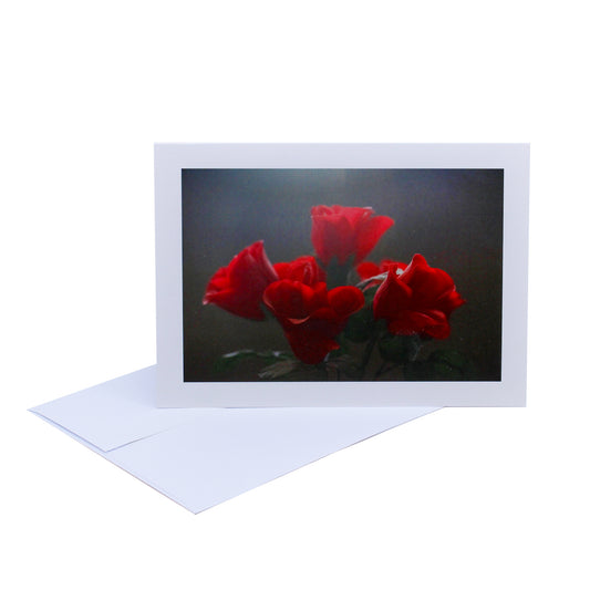 Art card with envelope, art card is a photograph of red roses on a grey background