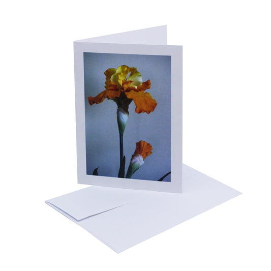 Photographic art card of a yellow flower against light background