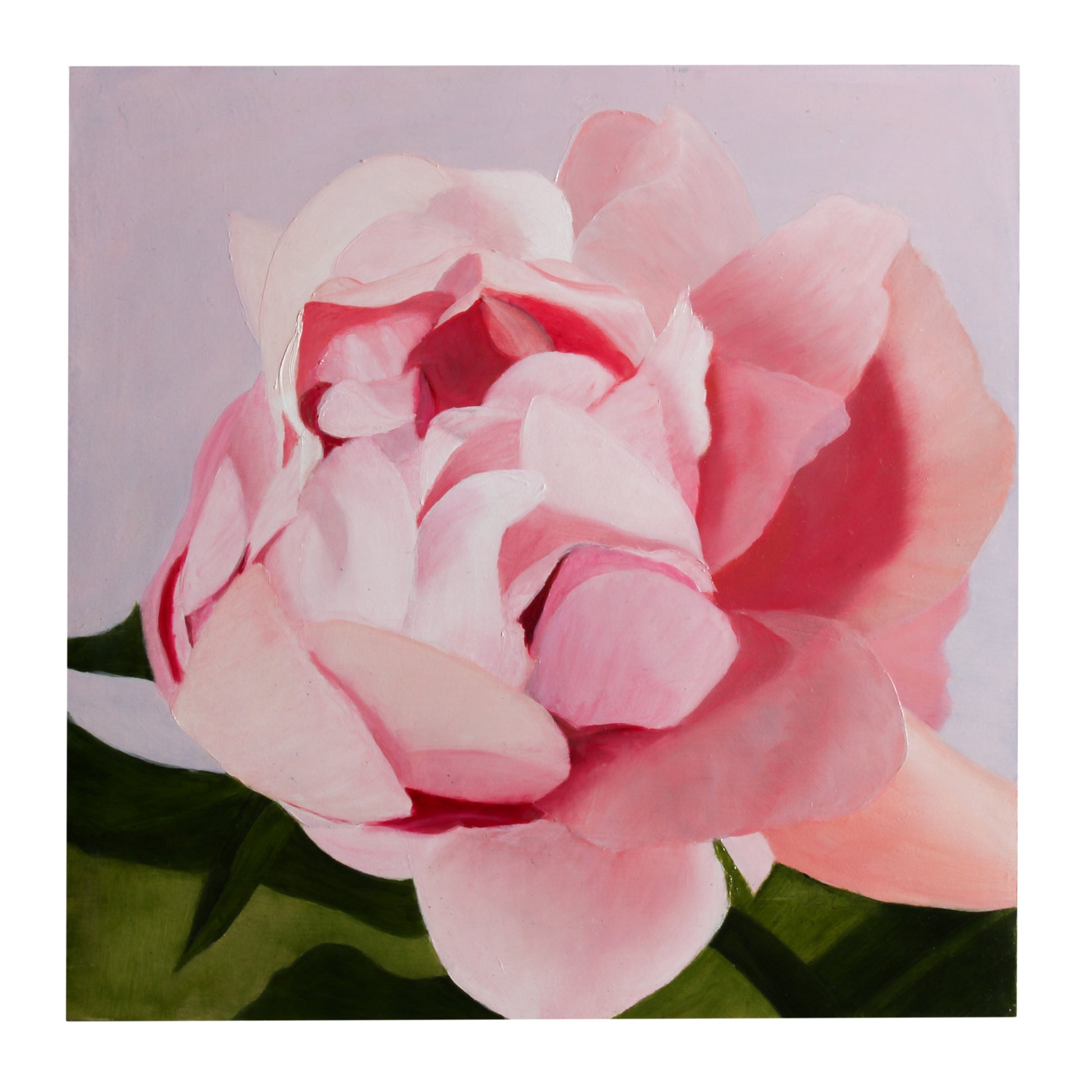 Oil painting of a pink rose