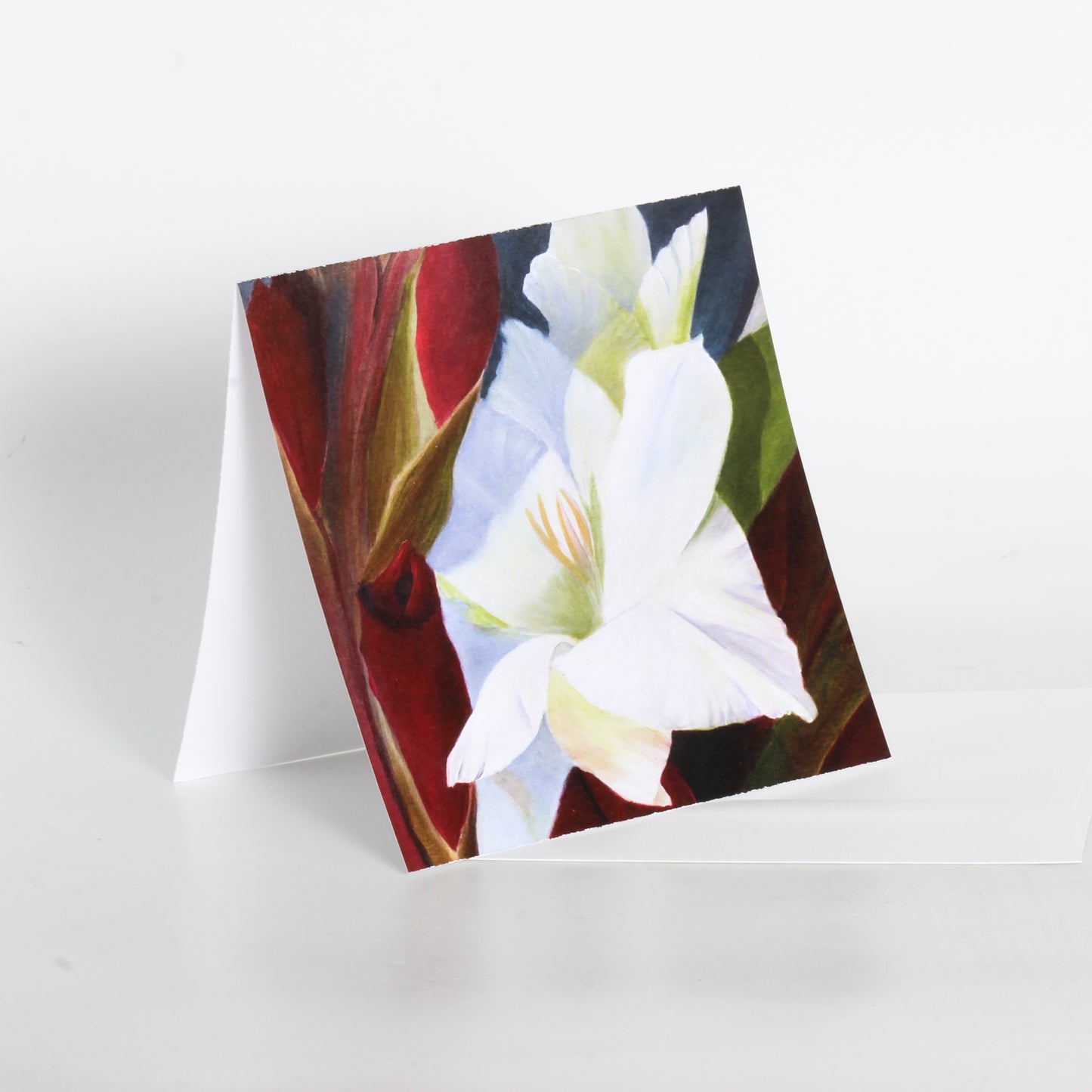 art card of a painting of a white flower