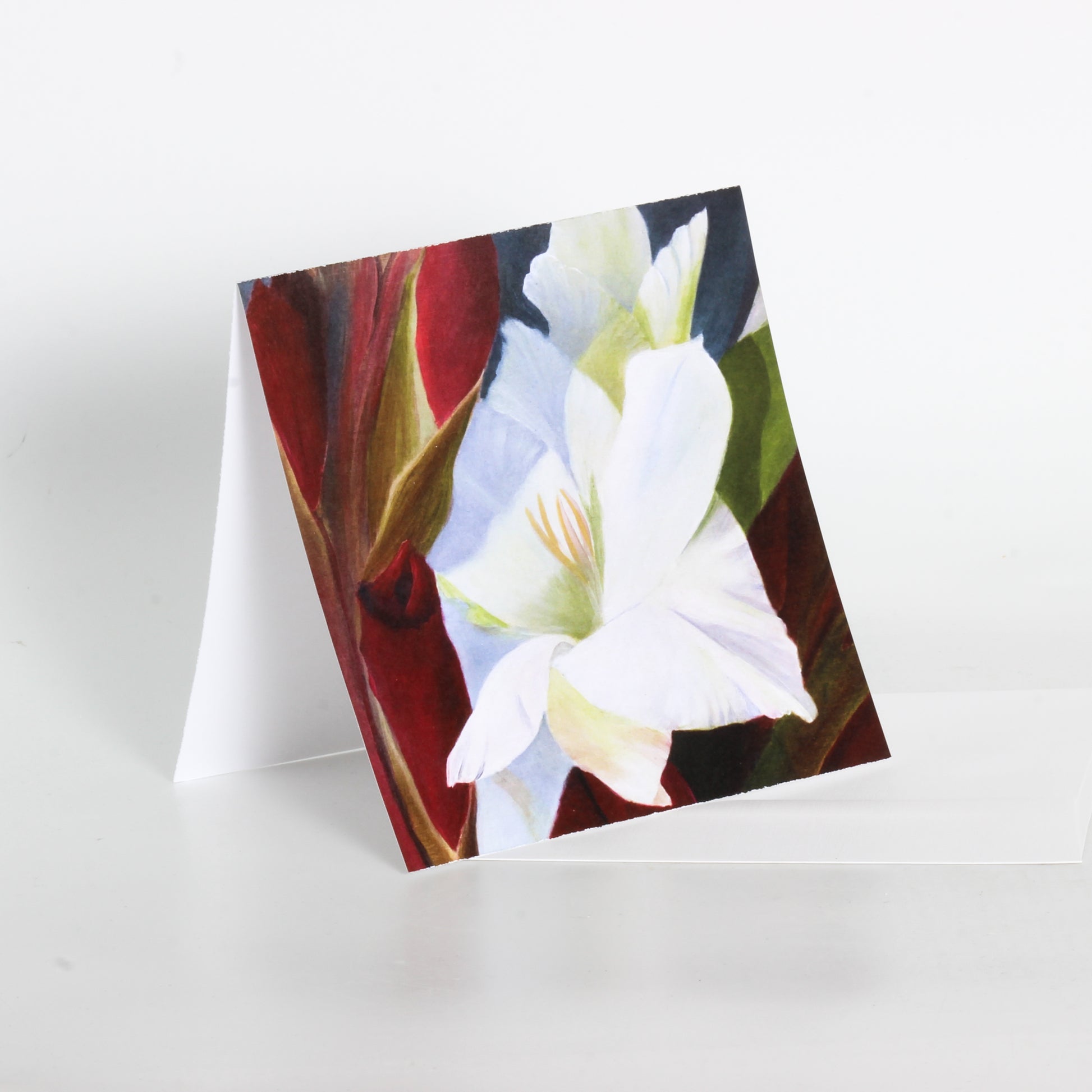 art card of a painting of a white flower