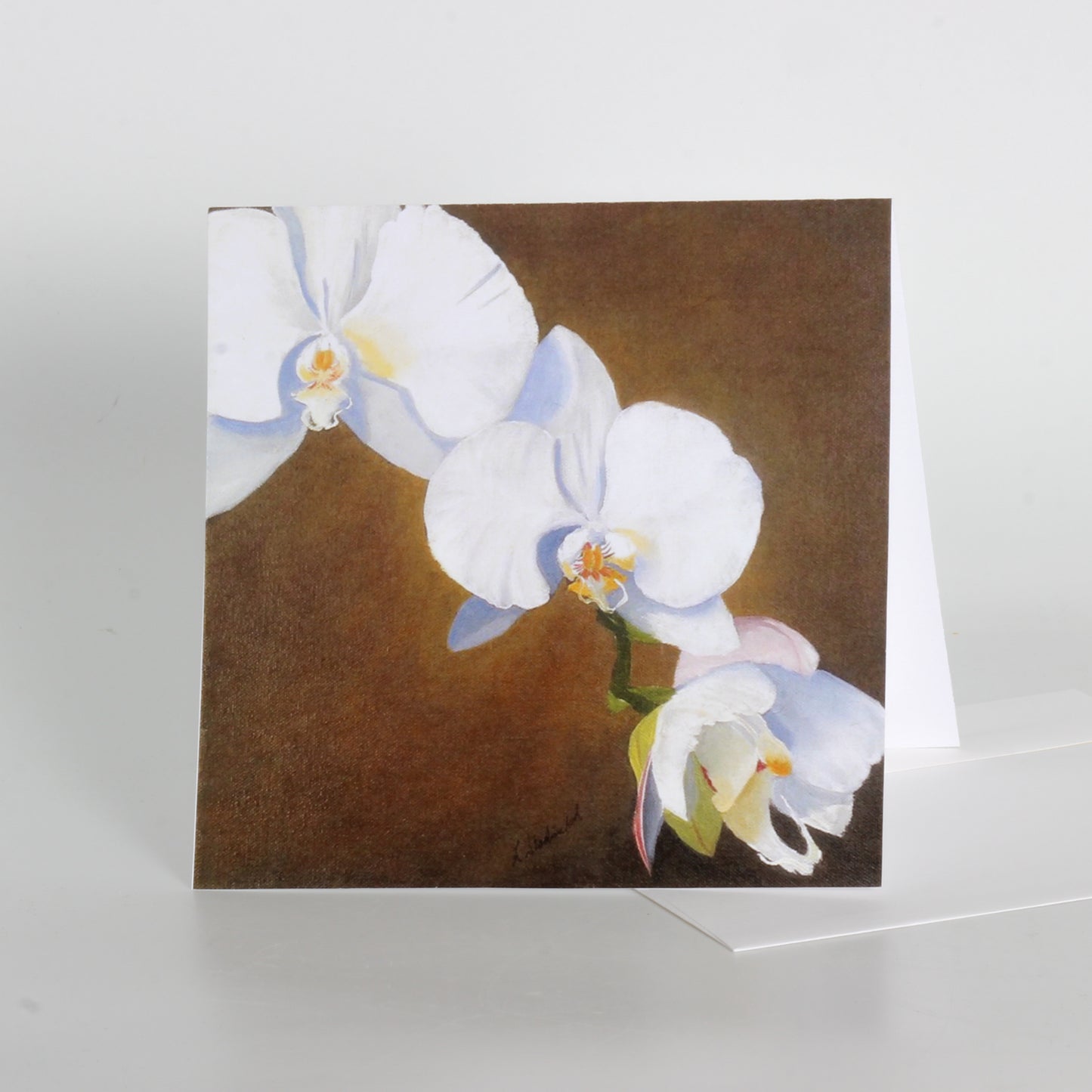 greeting cards of orchids