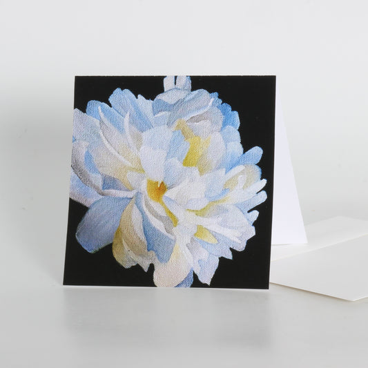 Greeting card of a white flower