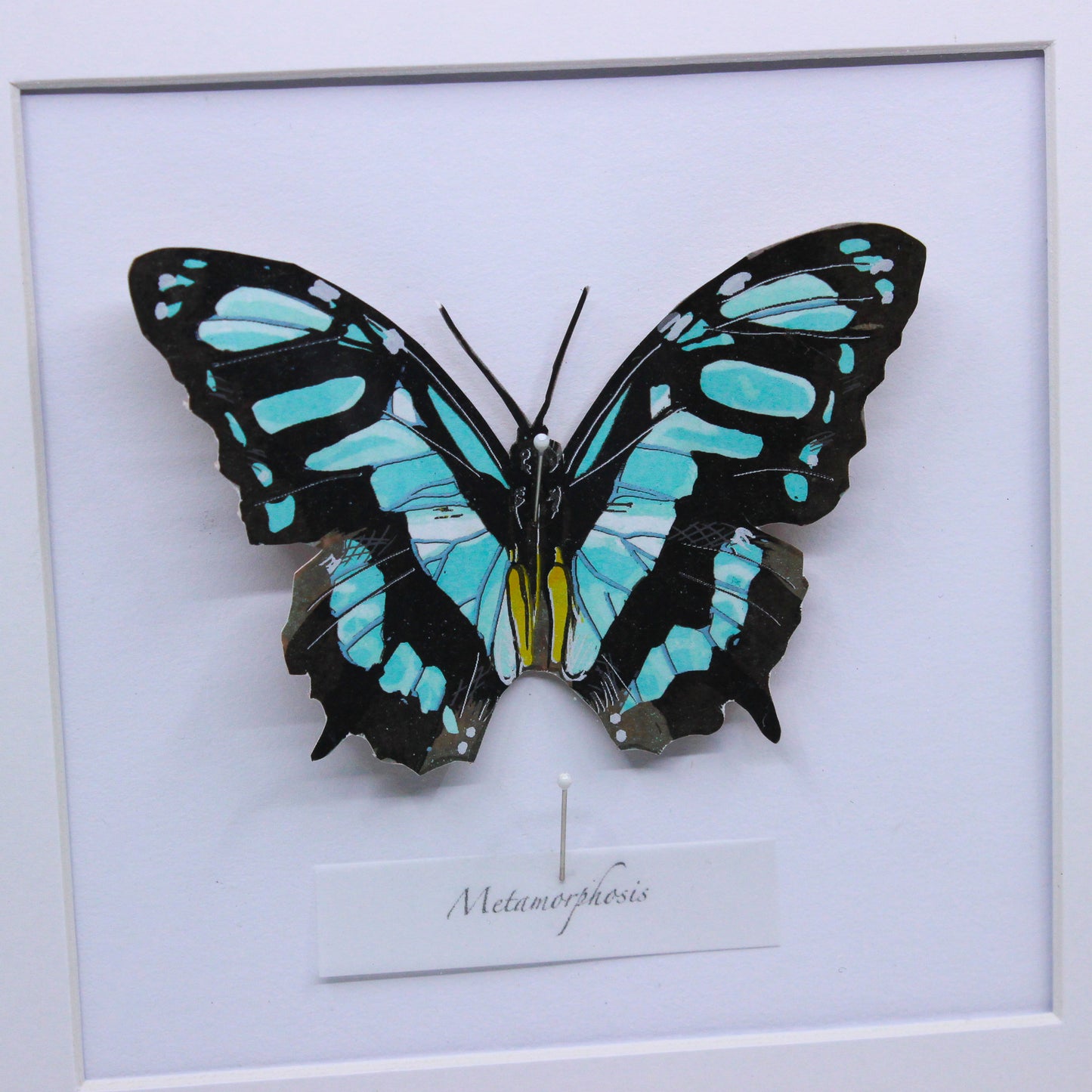 Metamorphosis - Framed Screenprint
