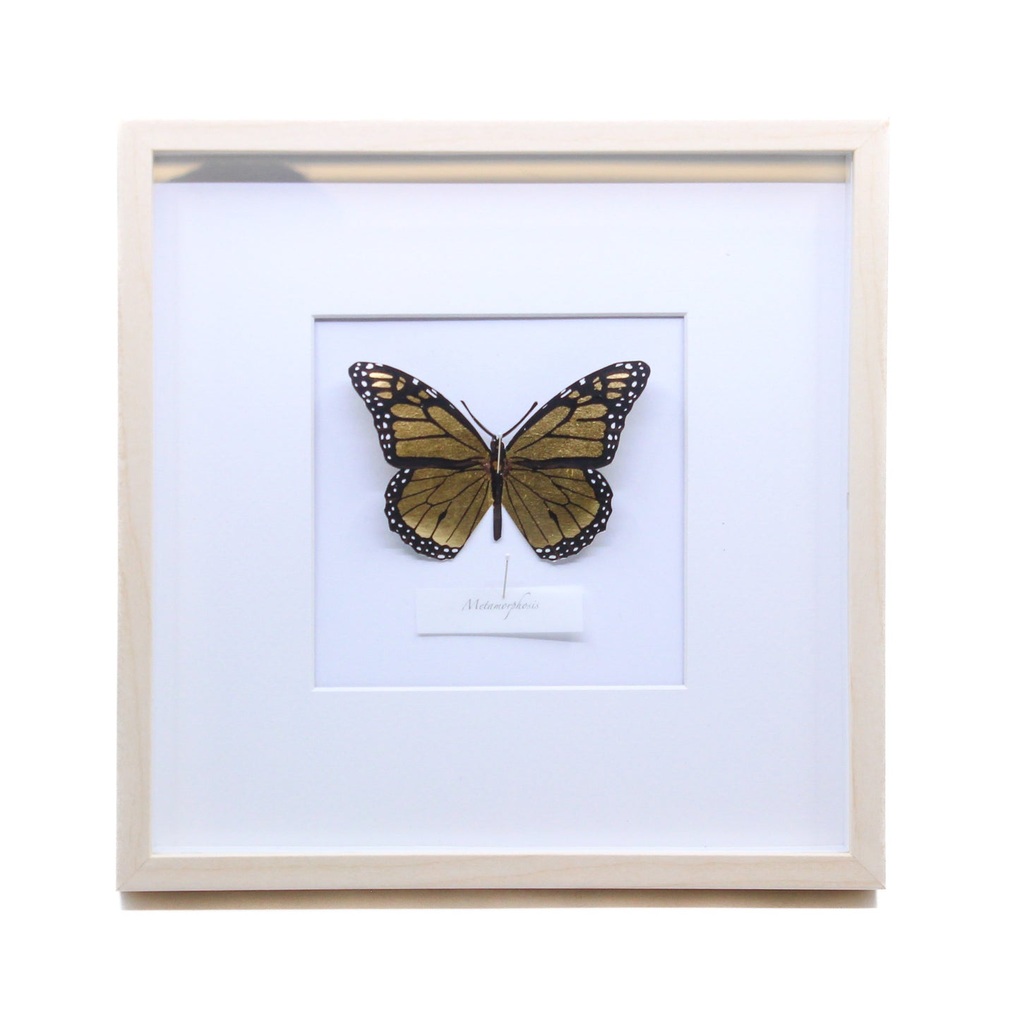 Metamorphosis - Framed Screenprint