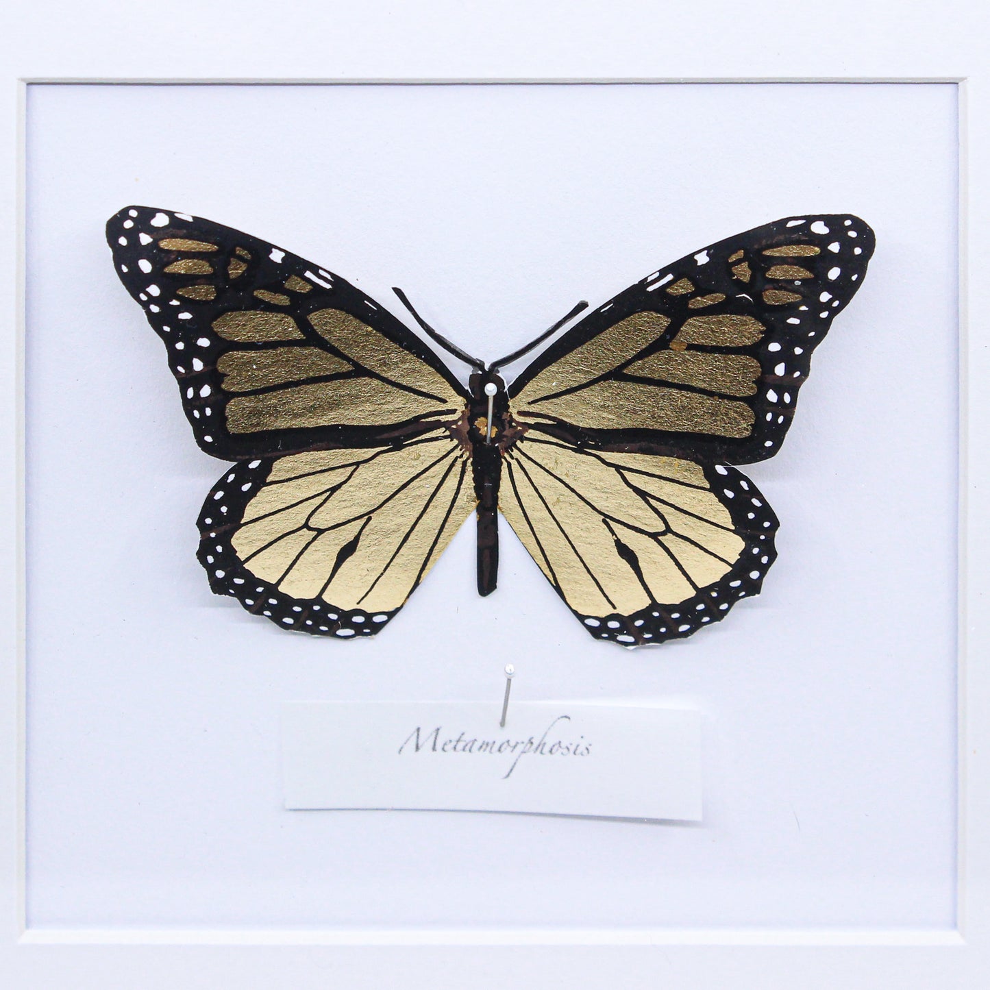 Metamorphosis - Framed Screenprint