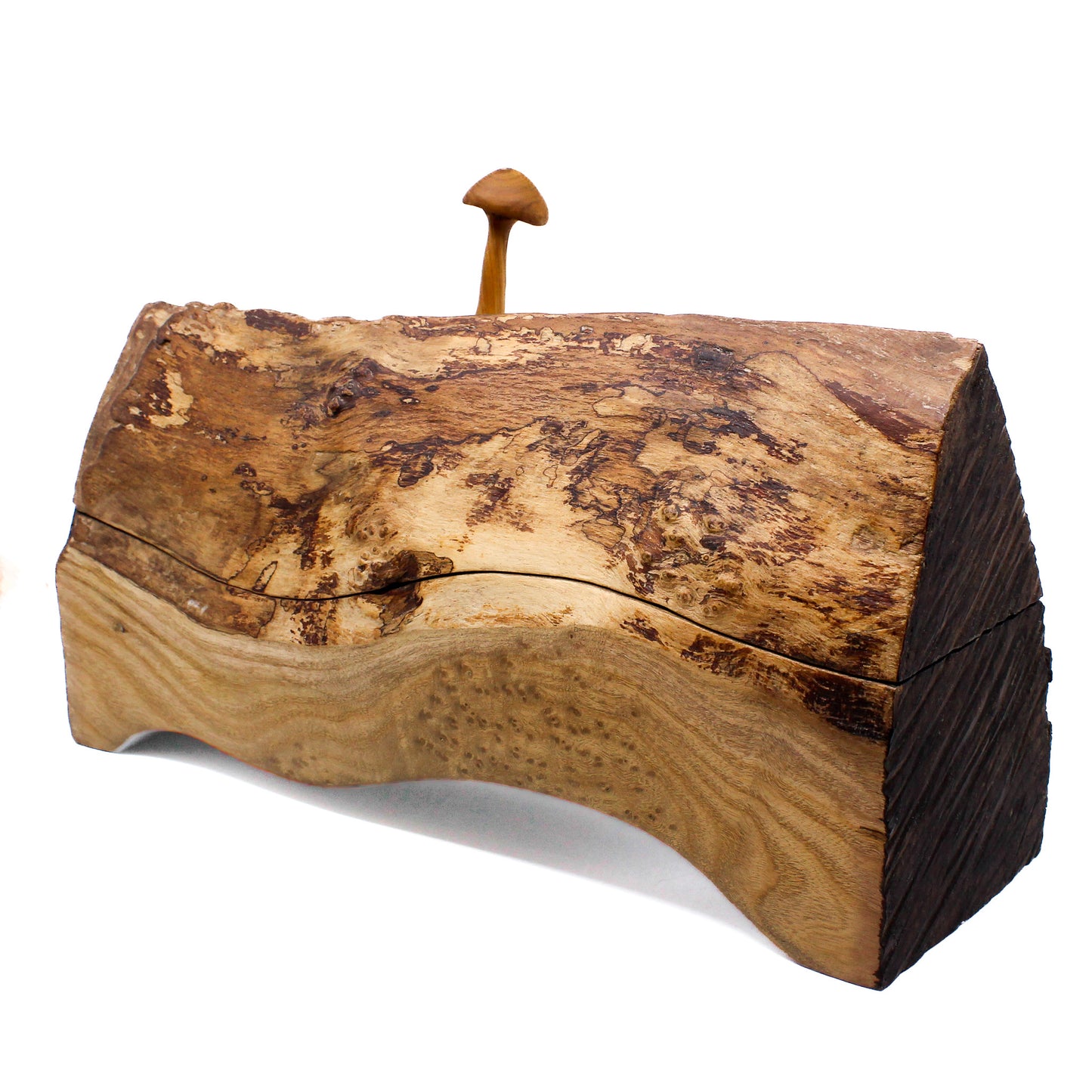 Enchanted Mushroom Log