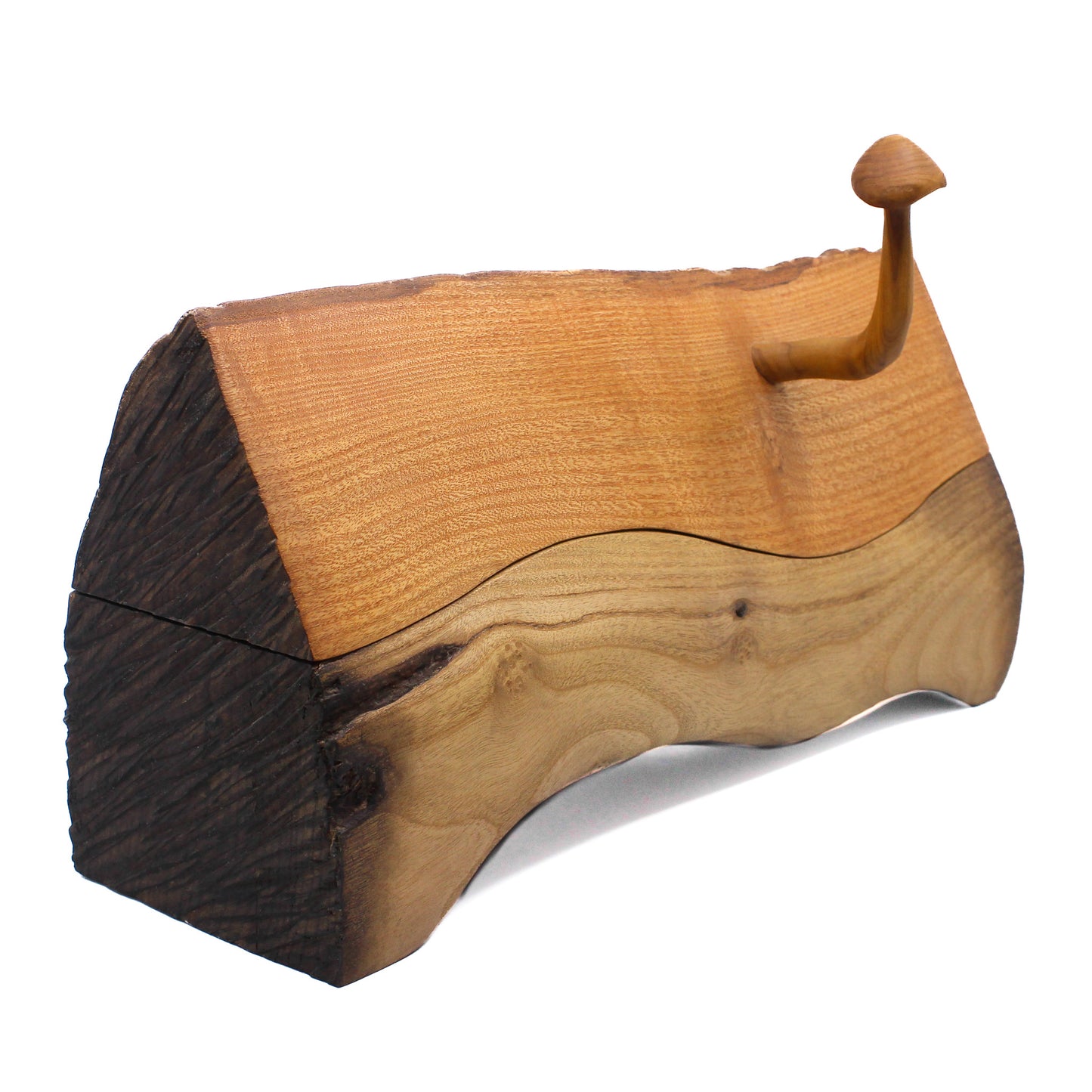 Enchanted Mushroom Log