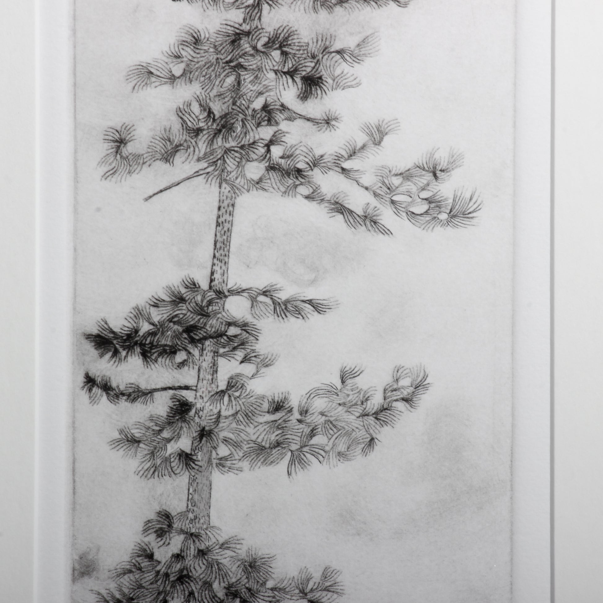 etching of tree: detail