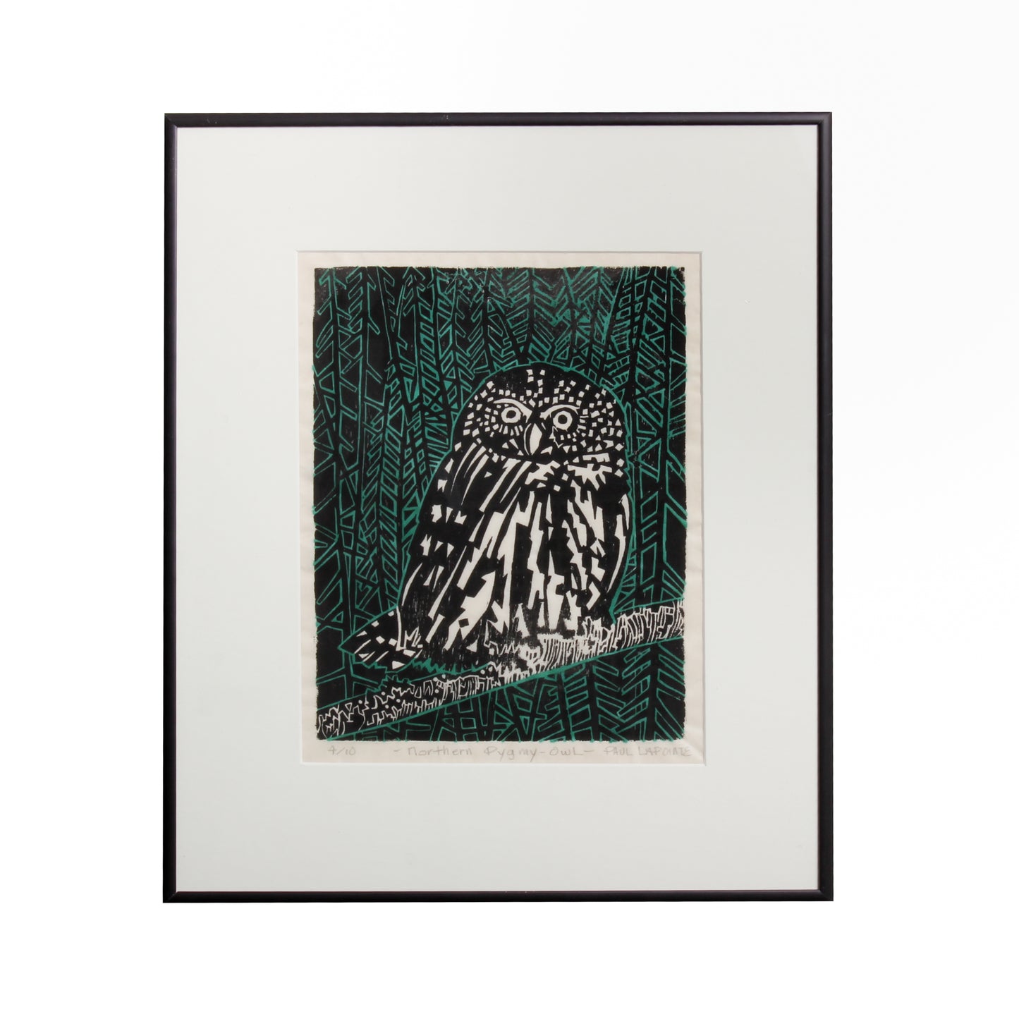 wood cut of pygmy owl