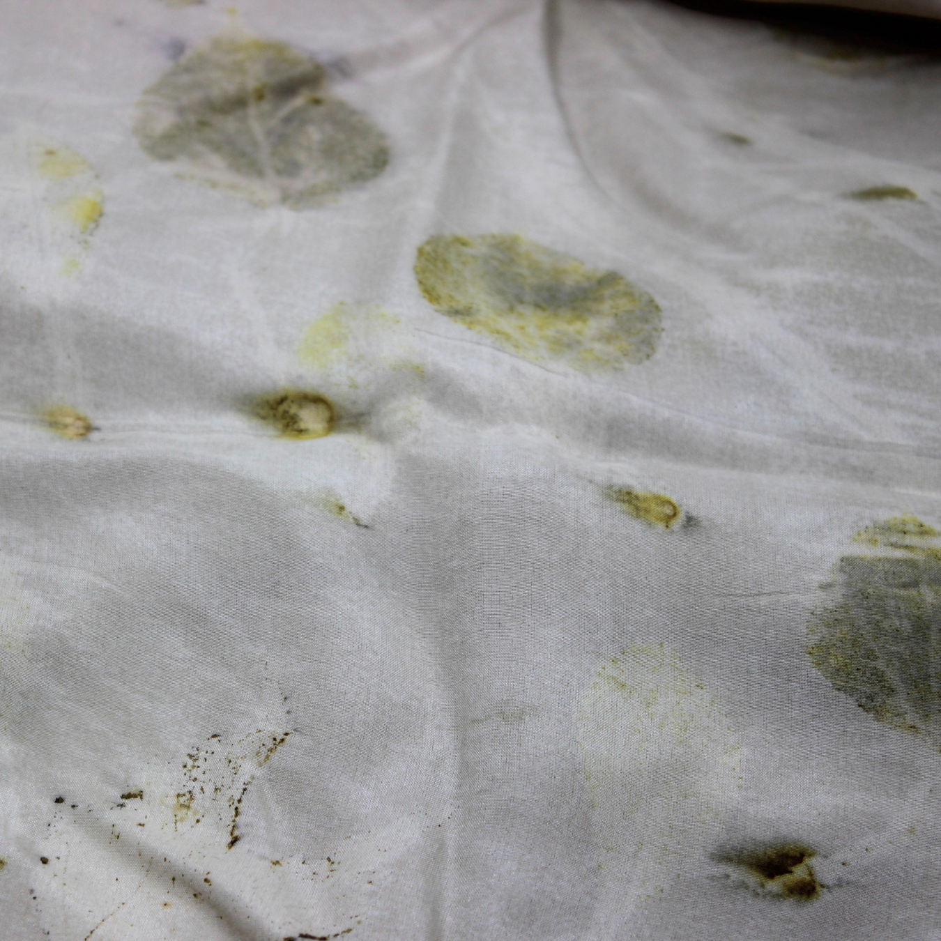 Leaves & Grass - Silk Scarf