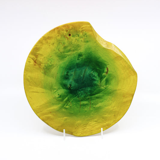 Wood plate that is dyed a gradient rim to center yellow to green. Plate is not circular, but with an attractive notch carved out from 12 to 2