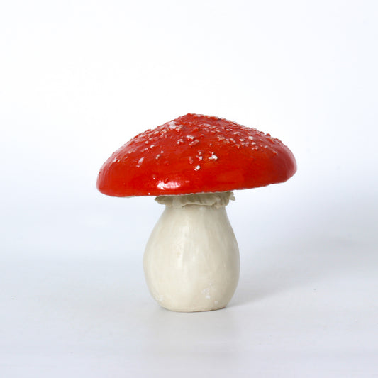 red clay mushrooms