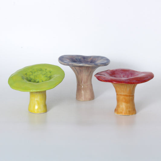 Chanterelle Clay Mushrooms