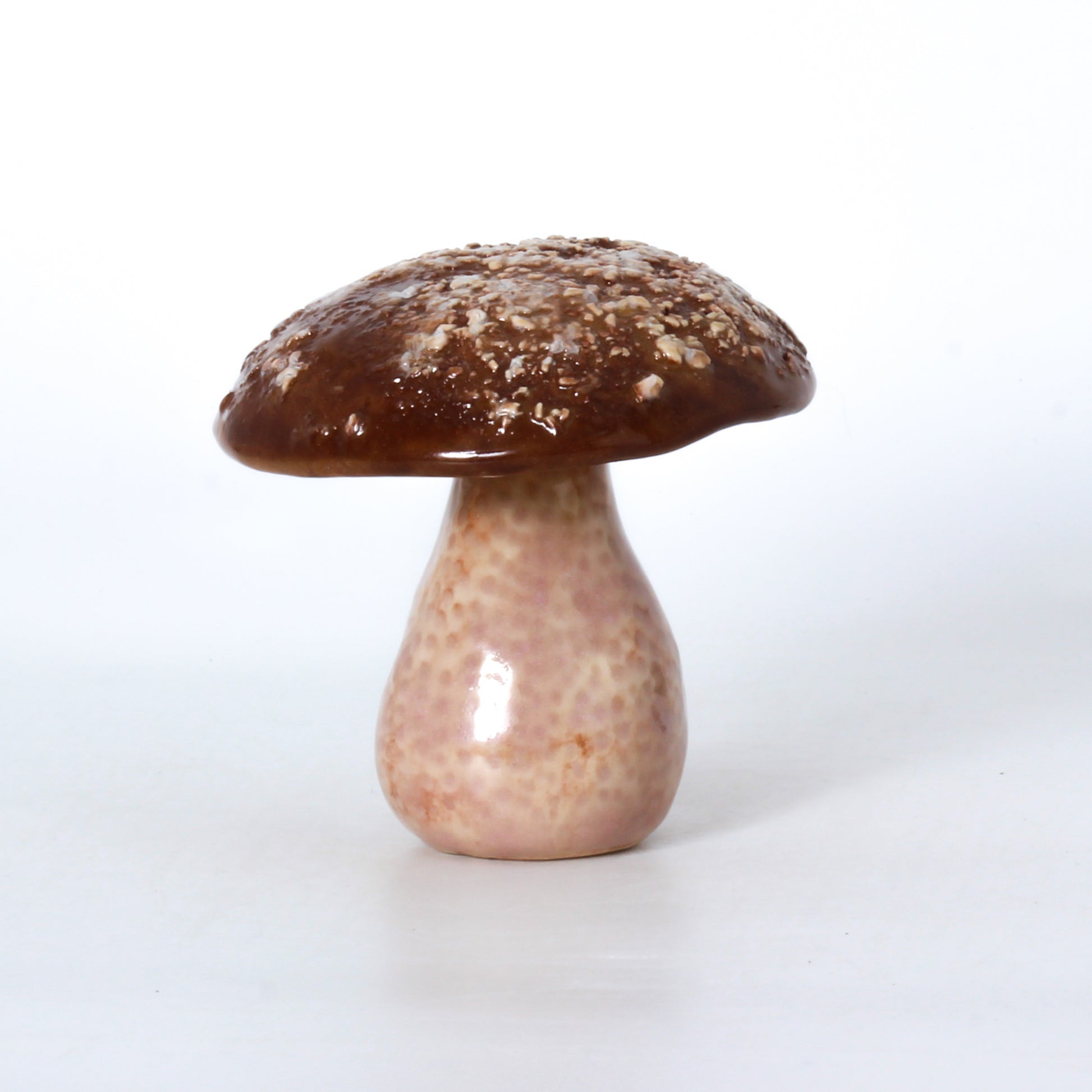 clay mushroom