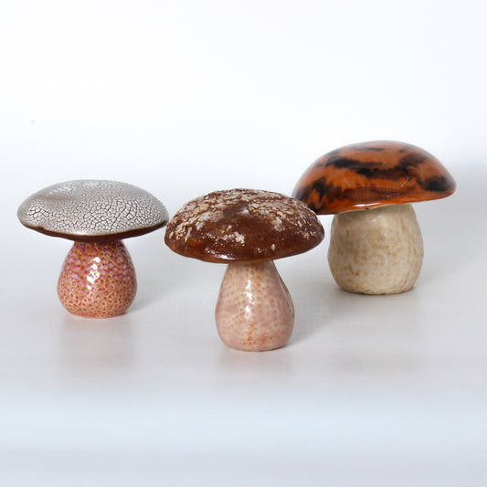 clay mushroom
