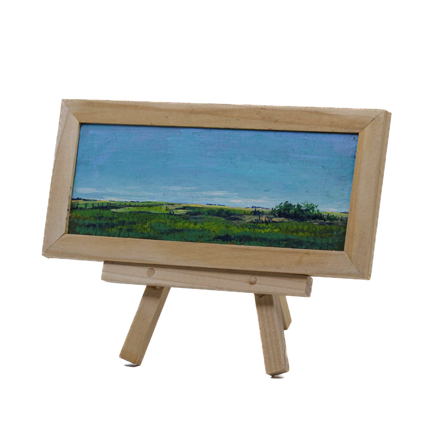 Acrylic painting of prairie scene