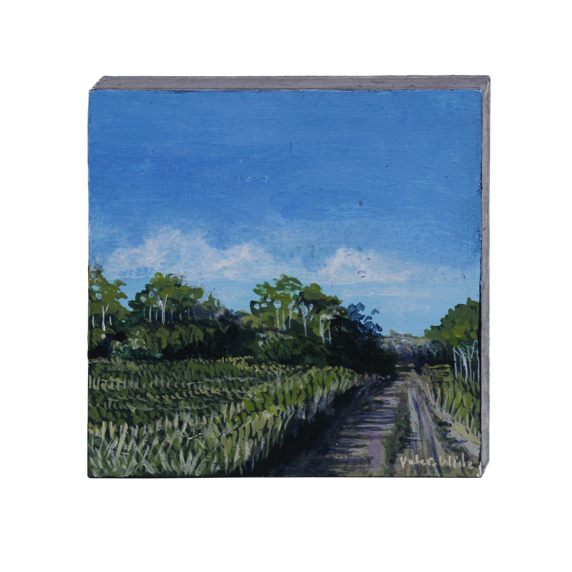 Acrylic painting of prairie landscape