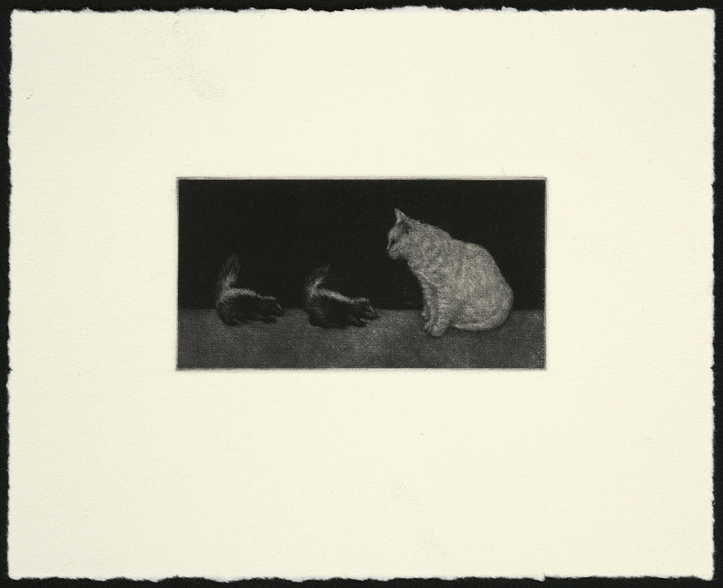 black and white mezzotint of two skunk babies and cat