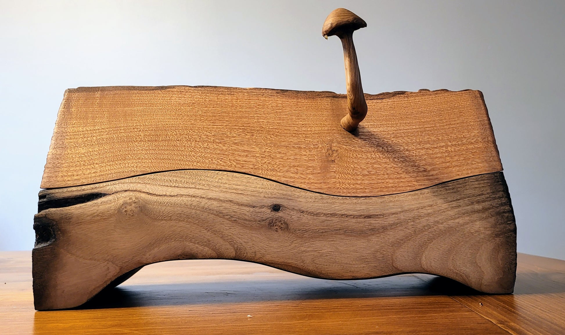 Wooden log with antler mushrooms