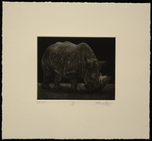 Black and white print of a rhinoceros with sleeping cat