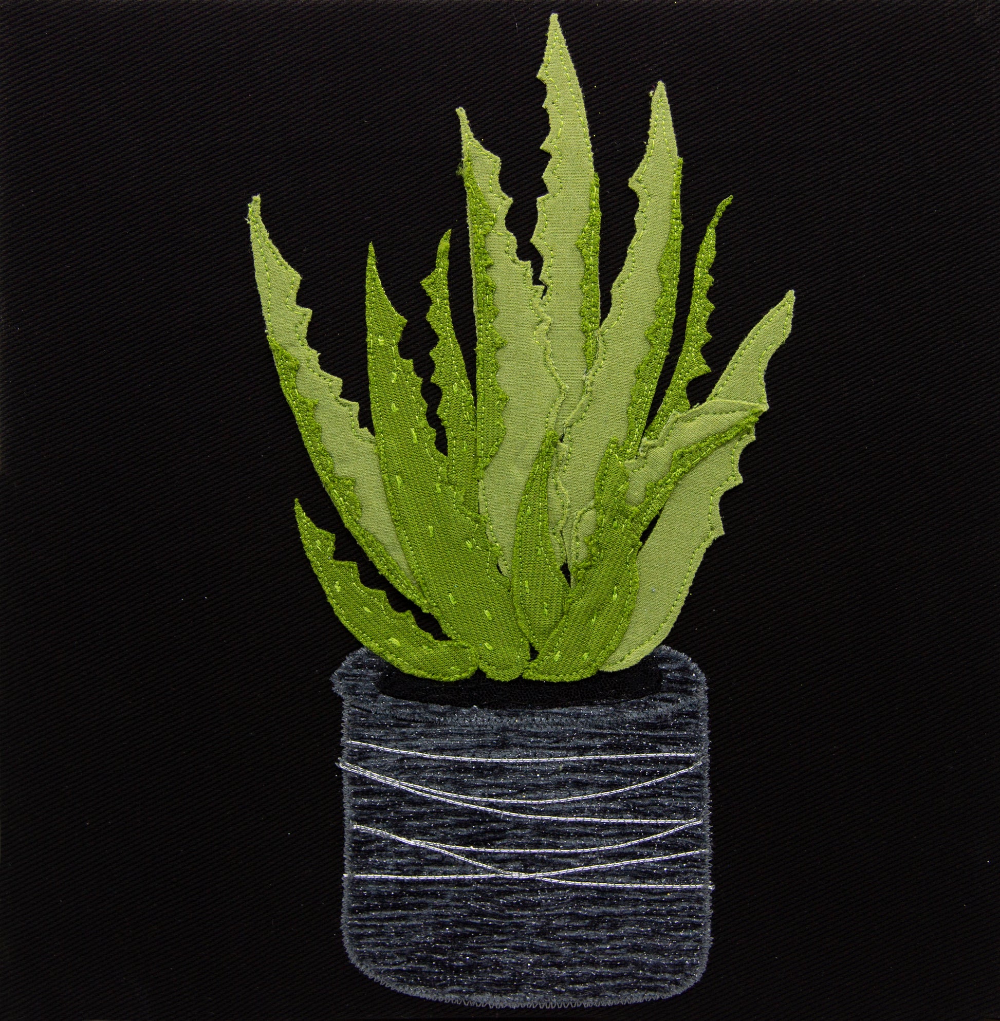 Green aloe vera in grey pot