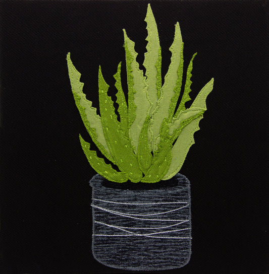 Green aloe vera in grey pot